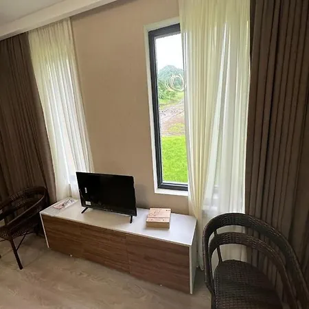 Crystal Wood Bakuriani Apartment 401 Exterior photo