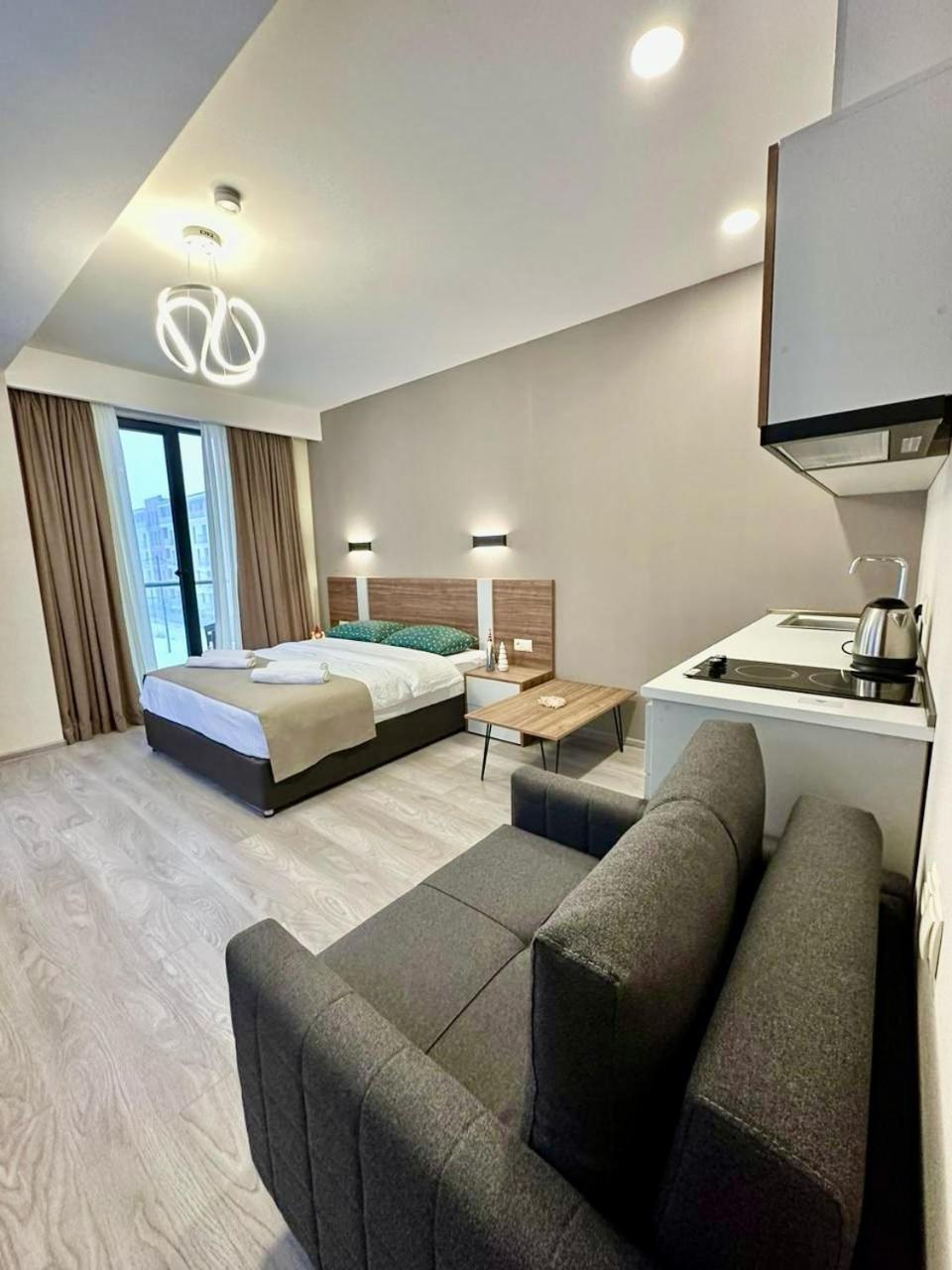 Crystal Wood 401 شقة باكورياني
